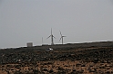 Kanary_2010 105